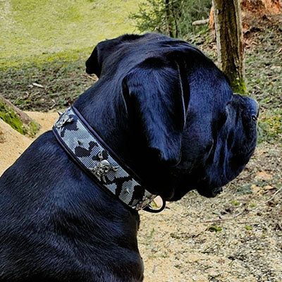Percy